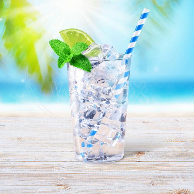 Sáček na led (LDPE) samozavírací pro 24 kostek [10 ks]